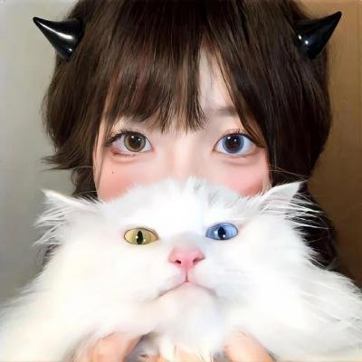 吉什岛的故事